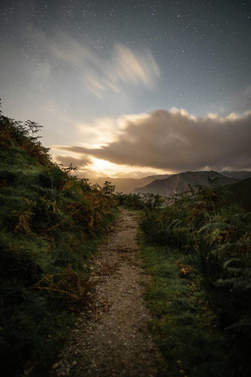 A serene dirt path meandering through lush greenery under a starry night sky with mountains in the distance.